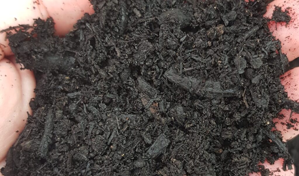 Converting Organic Waste into Biochar Co energy